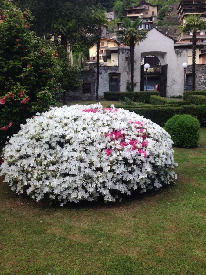 Residenza Christian Daire Gravedona Dış mekan fotoğraf